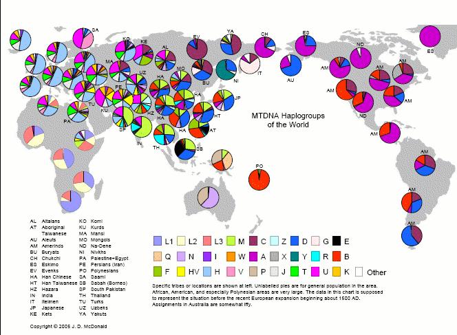 mtdna world